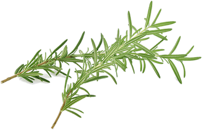 rosemary